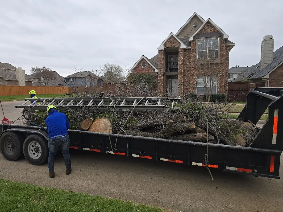 Expert Tree Pest Control with proper safety equipment in Wessington
